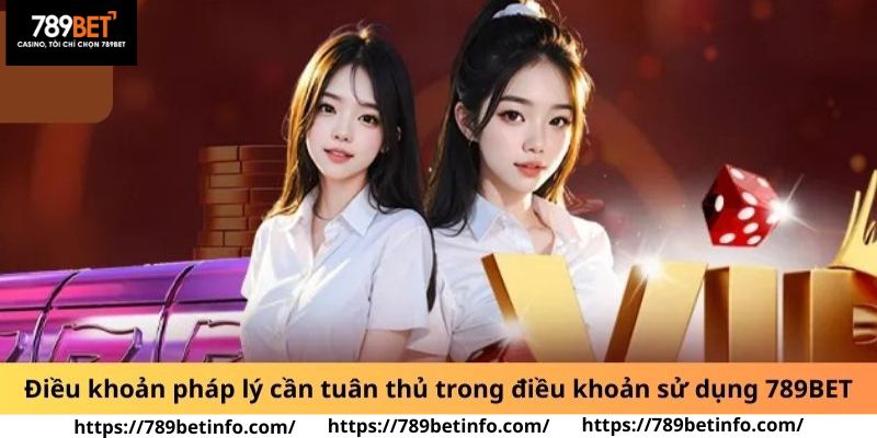 Các quy định pháp lý cần tuân thủ trong điều khoản sử dụng 789BET