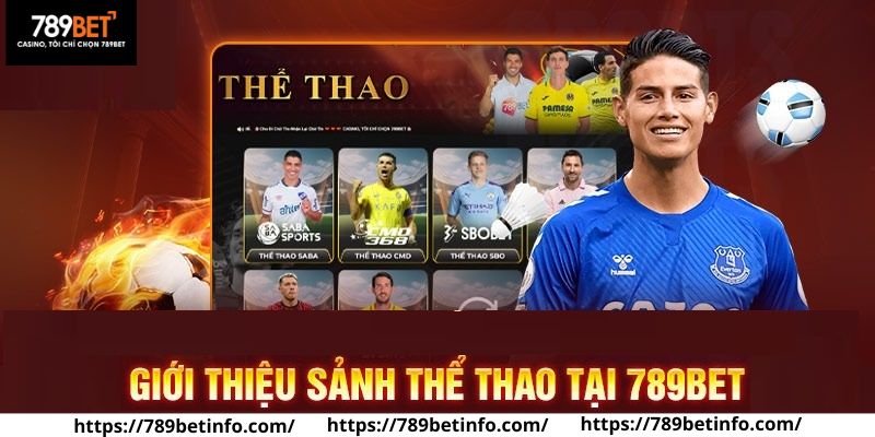 Tổng hợp qua sảnh thể thao trên 789BET